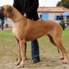 CH INCANDES'SENS DES TERRES DE LA RAIRIE – Image 3