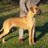 CH INCANDES'SENS DES TERRES DE LA RAIRIE – Image 9