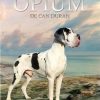 OPIUM de CAN DURAN – Image 3