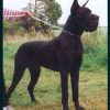CH ORSON DES TERRES DE LA RAIRIE