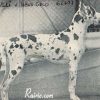 ULLI von HAUSE GECO – Image 2