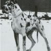 XANDER VON DER NüRBURG – Image 2