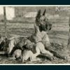 CH ZINGA VOM KUERENBERG – Image 6
