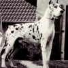 CH EICK  IMPERIAL