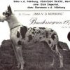 CH INKA VON DER NüRBURG – Image 2