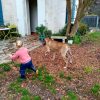 IRONY DES TERRES DE LA RAIRIE – Image 9