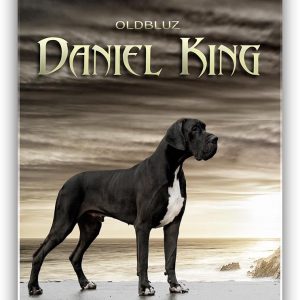 CH  OLDBLUZ DANIEL KING