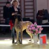 CH GOLD RENESSANS RENDEZ VOUS ROMANTIC – Image 4