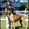 CH HERVANN  DES GEANTS DU BOCAGE – Image 2