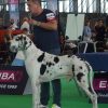 CH BEST OF ROYS FACE BOOK – Image 3
