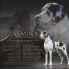 CH JASMINA SANCTUS ROCHUS – Image 2