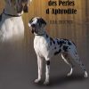 CH ROCKY BALBOA DES PERLES D'APHRODITE – Image 2