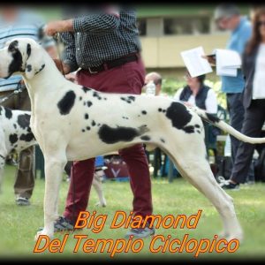 CH BIG DIAMOND DEL TEMPIO  CICLOPIQUE