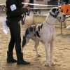 HERMINE VON DOGGEN KAISER – Image 4