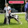 CH IL EST LA  DI VENDRA NERA – Image 3