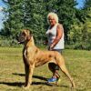 CH QUEEN HANNAH vom DÜNNER LAND – Image 5