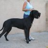 TOUNDRA DES HABITS ROUGES – Image 3