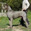 UXALANDA DE LA BENJAMINE