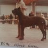 CH VIDOCK ROYAL