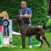 CH ZIBIBBO DEL REGNO DI FANTASIA – Image 3