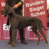 CH CENSOR CONRAD von OLSLAND
