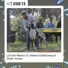 CH CHARDONNAY DI SHAKIR HOUSE – Image 2