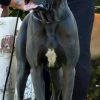 FLOYD DE LA LANDE DES GEANTS BLEUS – Image 2