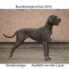 CH KONFETTI  von der  LAUER