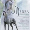 CH MEDEA DELLA ZAIDA NERA – Image 3