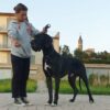 CH F-RE-NERO DEL CUMBULTERIA – Image 2