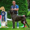 CH ZIBIBBO DEL REGNO DI FANTASIA