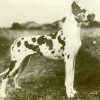 CH DOLF VON ST MAGN
