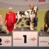 CH JASMIN VON HAUSE WAGNER – Image 2