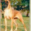 LUBIE DE LA PIERRE DU ROY – Image 5