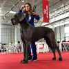 CH HOMBRE DELLA BAIA  AZZURRA