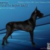 CH NAGYIREGI KENNETH MIRA GREZ – Image 3