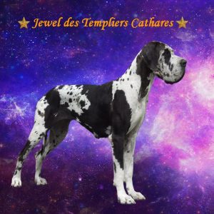 CH JEWEL DES TEMPLIERS CATHARES