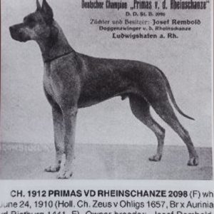 CH PRIMAS  VON DER  RHEINSCHANZE