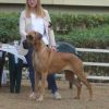 CH EMOTION DEL PICCOLO JIGO – Image 2