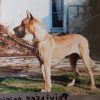 PRIVILEGE DES TERRES DE LA RAIRIE