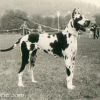CH ANKA VON DER ROTBURG