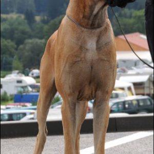 CH CATUSO VON DER OFNETHÔHLE