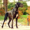 CH PENELOPE MIS MARGENIS