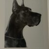 CH FABIENNE  VON TRABERSRUH – Image 3