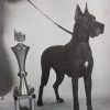 CH FABIENNE  VON TRABERSRUH – Image 2