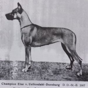 CH ELSE VON UELLENDAHL-DORNBURG