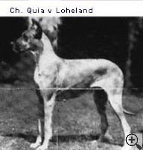 CH QUIA VOM LOHELAND