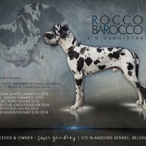 CH ROCCO BAROCO V D’ ALANISTARS