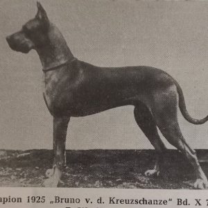 CH BRUNO VON DER KREUSZCHANZE