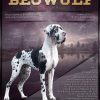 CH ELVARE SAGA BEOWULF – Image 5